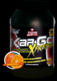 /album/productos/kargo-xpress-naranja-png/